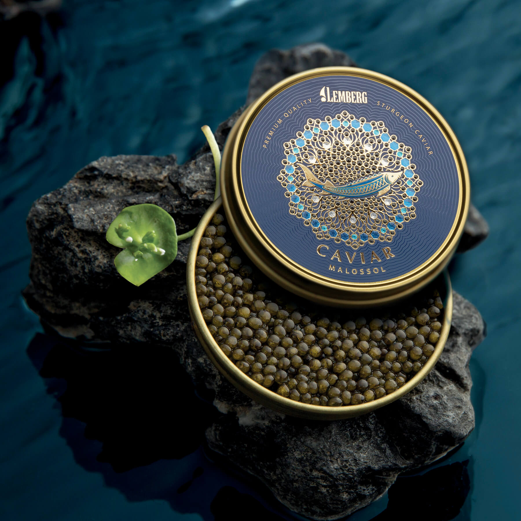 Jeseteří kaviár AMUR ROYAL, 500g