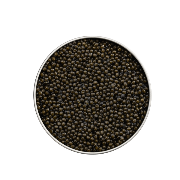 Osietra kaviár, 500g